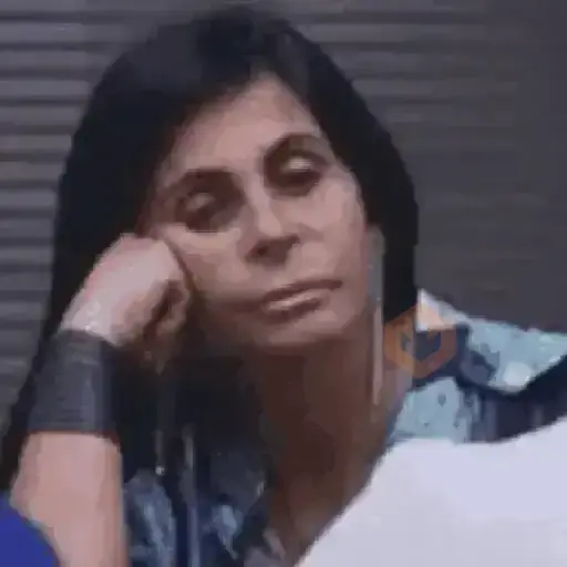 memes sticker 29
