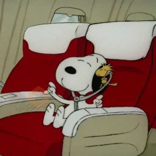 Snoopy situación meme🐾✨ sticker 16
