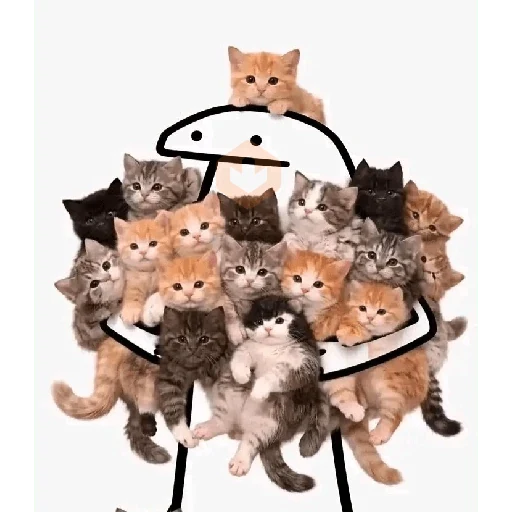 🐱 Gatos e Bichos Fofos sticker 13