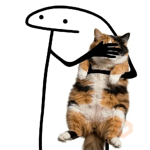 🐱 Gatos e Bichos Fofos sticker 21