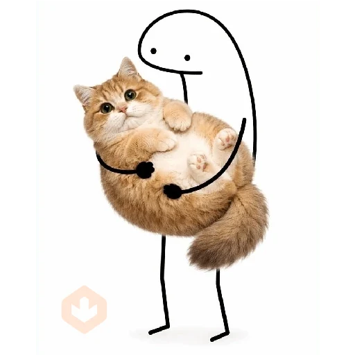🐱 Gatos e Bichos Fofos sticker 12