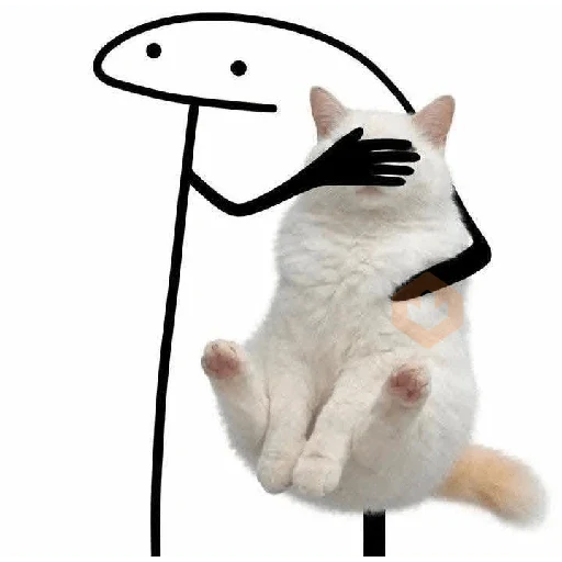 🐱 Gatos e Bichos Fofos sticker 17