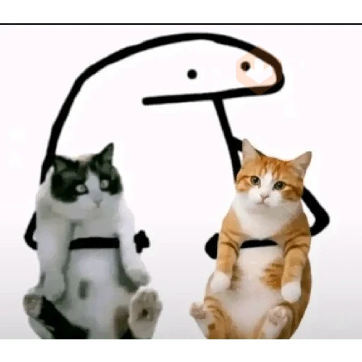 🐱 Gatos e Bichos Fofos sticker 15