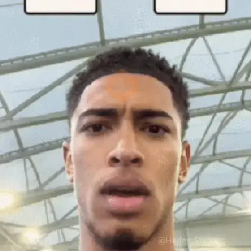 🫐🔥 Stickers TIKTOK 🔥🫐 3 sticker 13