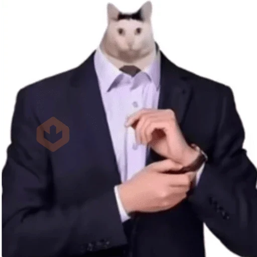 Gato pelao sticker 20