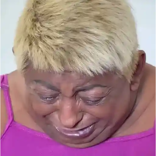 Patixa Teló Memes sticker 11