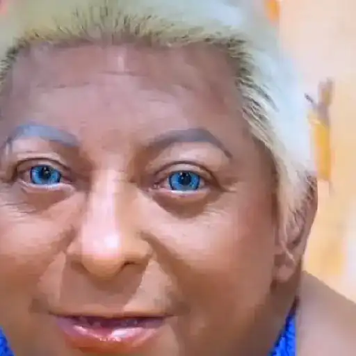 Patixa Teló Memes sticker 19