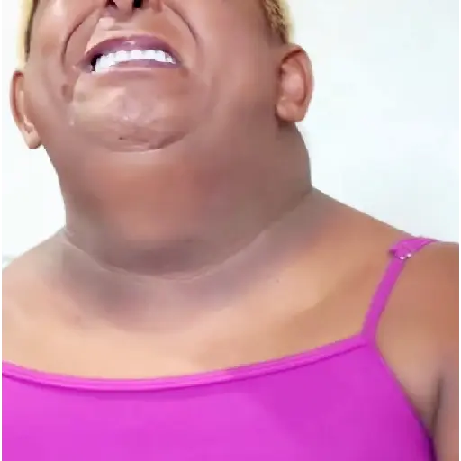 Patixa Teló Memes sticker 18