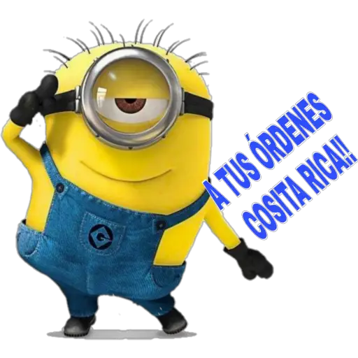 minions💛💛💛💛 