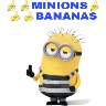 minions💛💛💛💛 