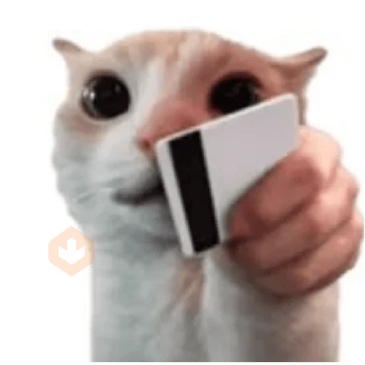 gato elegante sticker 19