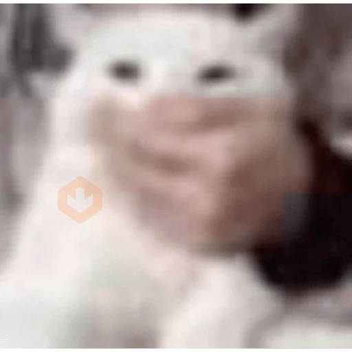 gato elegante sticker 22