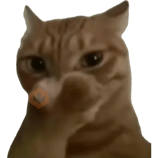 gato elegante sticker 16