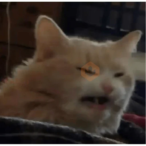 gato elegante sticker 14