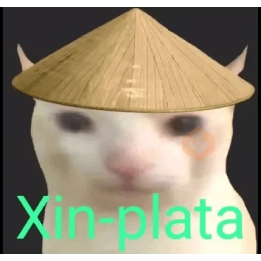 gato elegante sticker 17