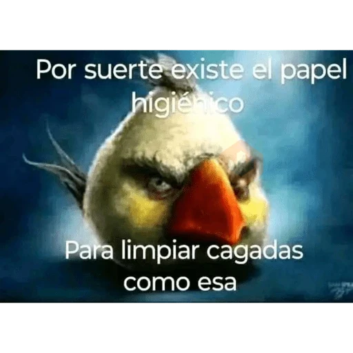 Memes geniales 😎 sticker 11