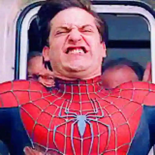 Memes - Spiderman VIRALES 🕷️ sticker 13