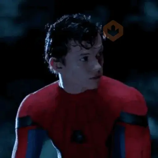 Spiderman Tom Memes🕸️🕷️ sticker 15