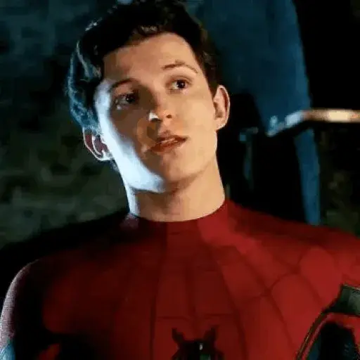 Spiderman Tom Memes🕸️🕷️ sticker 26