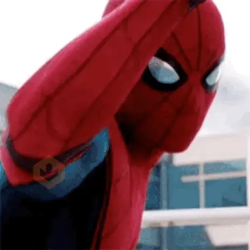 Spiderman Tom Memes🕸️🕷️ sticker 19