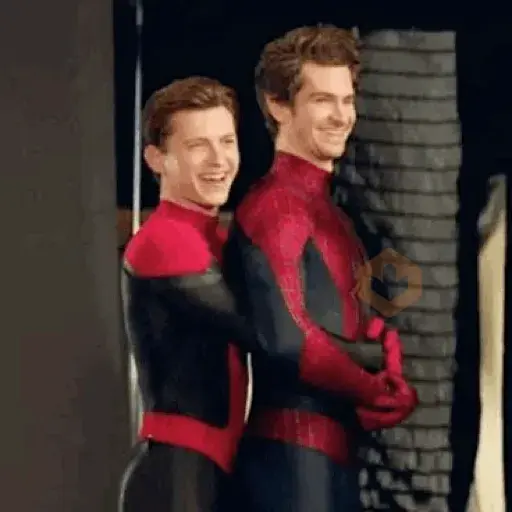 Spiderman Tom Memes🕸️🕷️ sticker 17