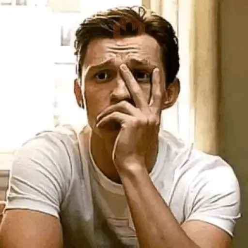 Spiderman Tom Memes🕸️🕷️ sticker 23