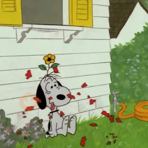 Snoopy 17 ┈ Peanuts. sticker 19