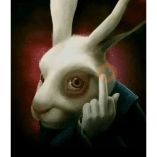 Memes virales de TIKTOK #1 sticker 11