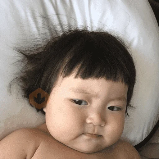 Memes virales de TIKTOK #1 sticker 16