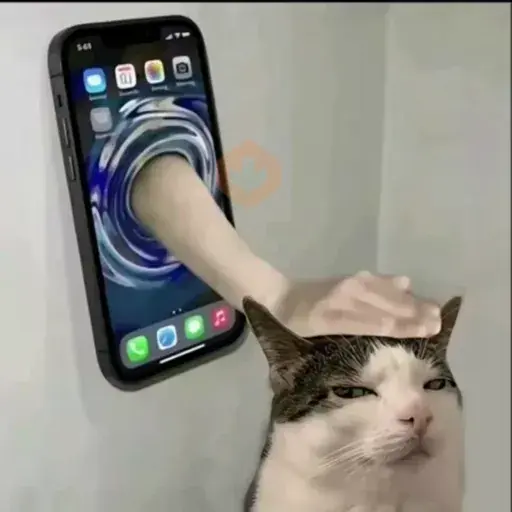 gato | cat 🐈 sticker 13