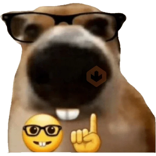 anjing emoji iphone sticker 14