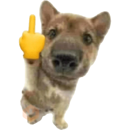 anjing emoji iphone sticker 12