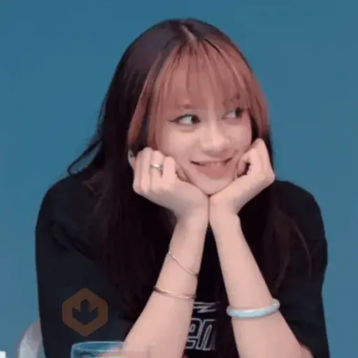 K-memes😘 sticker 12