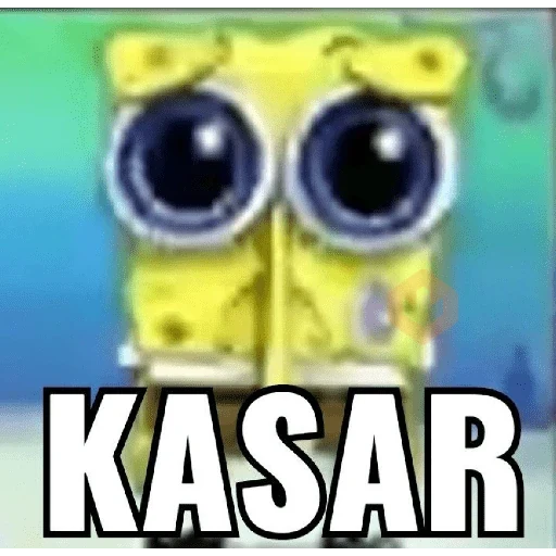 meme random sticker 17