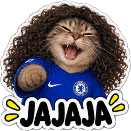 Gato Cucurella 😺🇪🇸 sticker 14