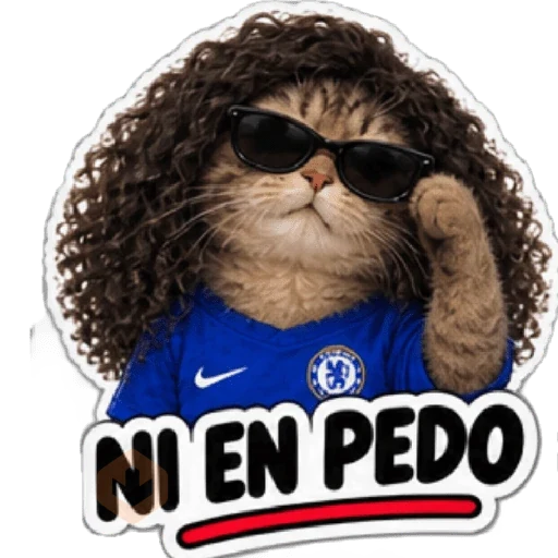 Gato Cucurella 😺🇪🇸 sticker 12