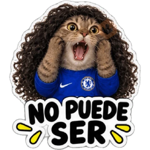 Gato Cucurella 😺🇪🇸 sticker 15