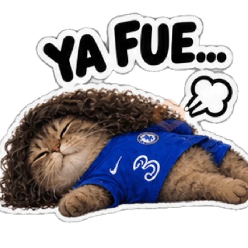 Gato Cucurella 😺🇪🇸 sticker 11