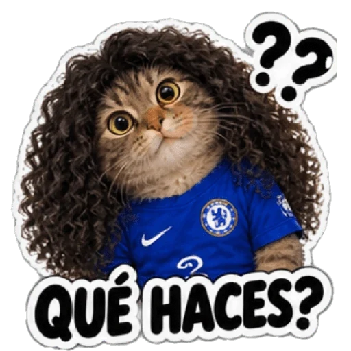 Gato Cucurella 😺🇪🇸 sticker 13