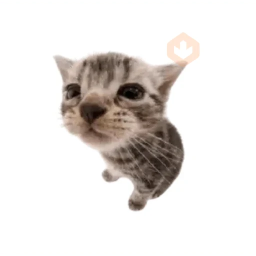 emoji sticker 15