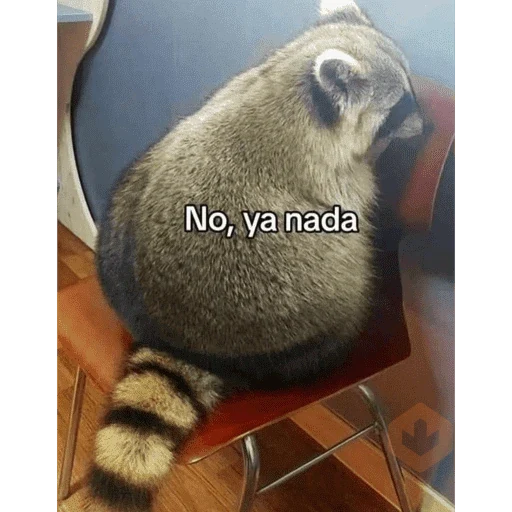 Monitos sticker 21