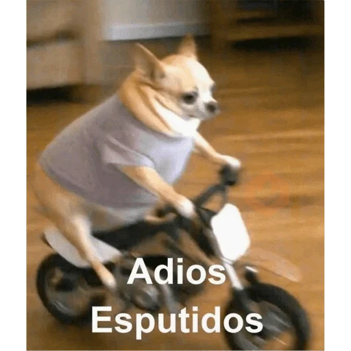 Monitos sticker 17