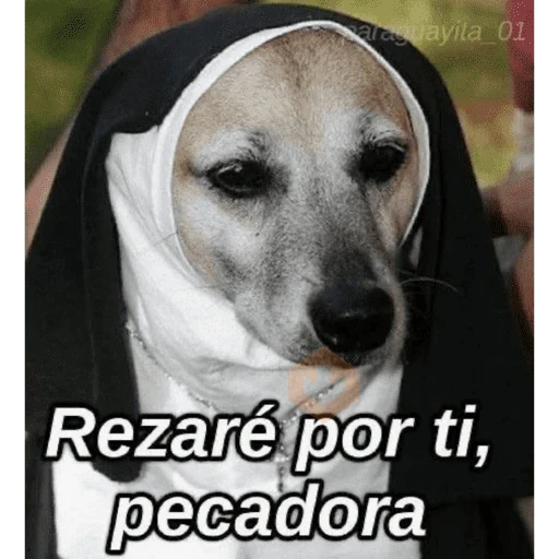 Monitos sticker 25