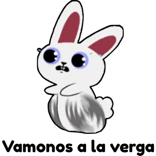 conejito b🐰 aish💕