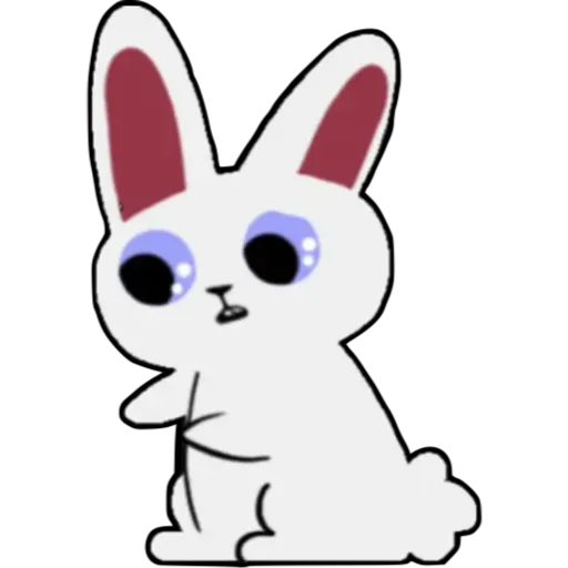 conejito b🐰 aish💕