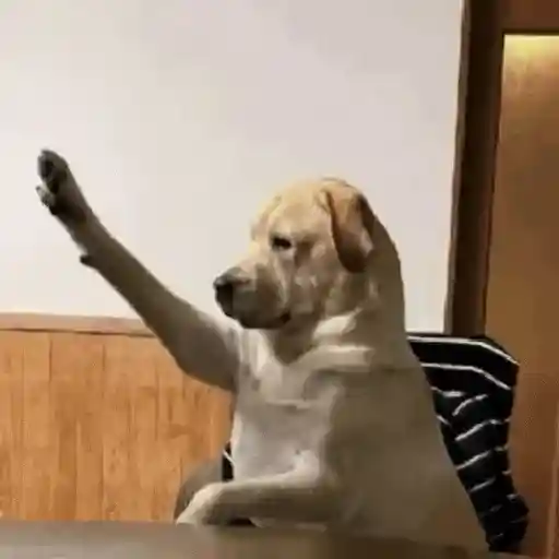Reacciones Tiktok💩 sticker 11