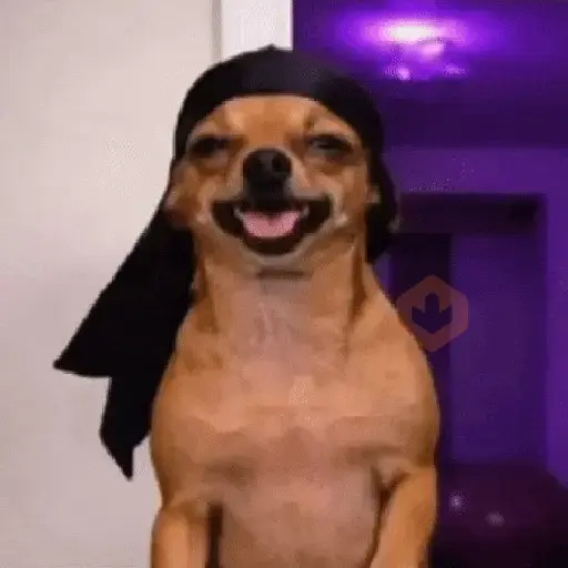 Reacciones Tiktok💩 sticker 17