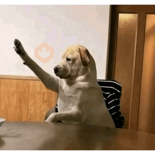 tiktok memes 4 sticker 28