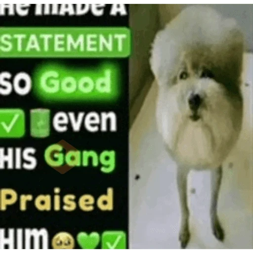 tiktok memes 4 sticker 16
