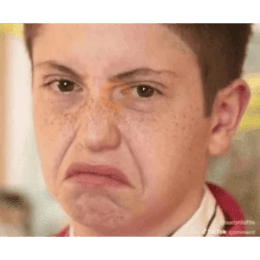 tiktok memes 4 sticker 26